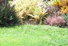 Pebbly Beachlawn-and-turf-15.jpg; ?>
